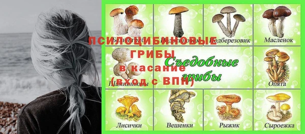 ECSTASY Богородск