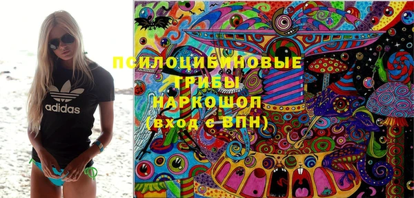бошки Бронницы