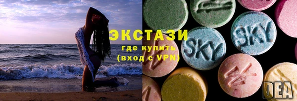 ECSTASY Богородск