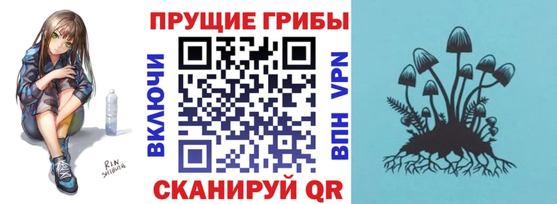 Купить  Воткинск  Псилоцибиновые грибы Psilocybe 