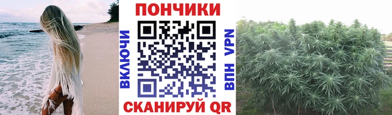 Марихуана планчик  Купить где  Воткинск 